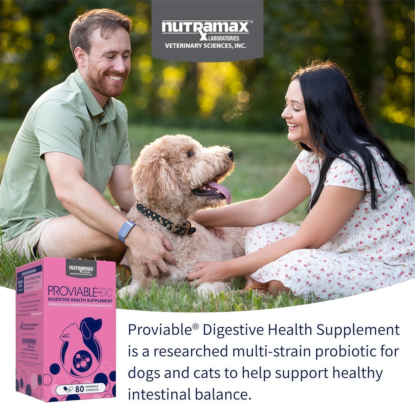 ProviableⓇ-DC Capsules